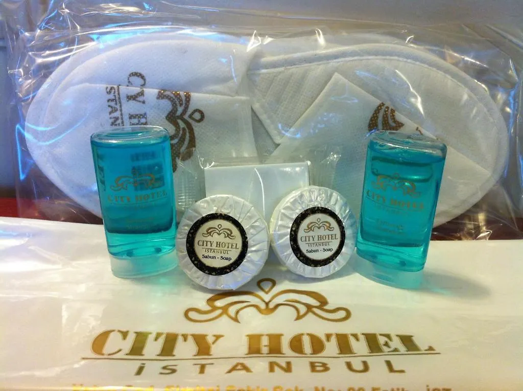 City Hotel İstanbul 3*,